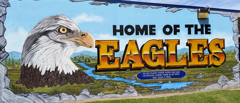 Home of the Eagles banner